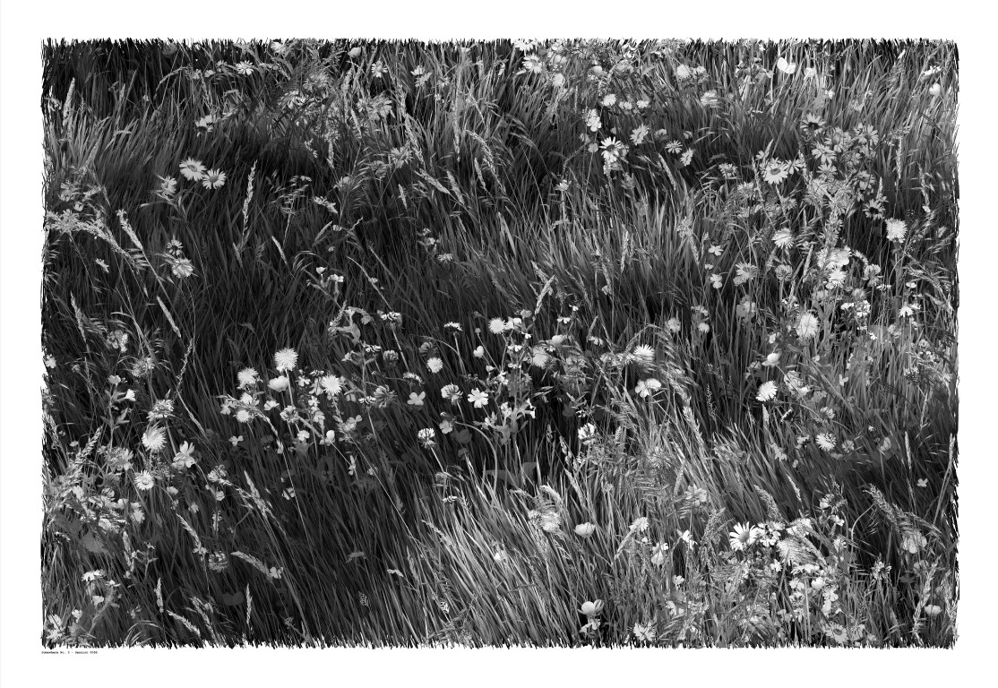 1ab2d8f956fb2aa550736fd212a05846.jpg