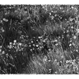 1ab2d8f956fb2aa550736fd212a05846