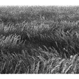 cef269c192ab14f1e1b874977cdb6aa7