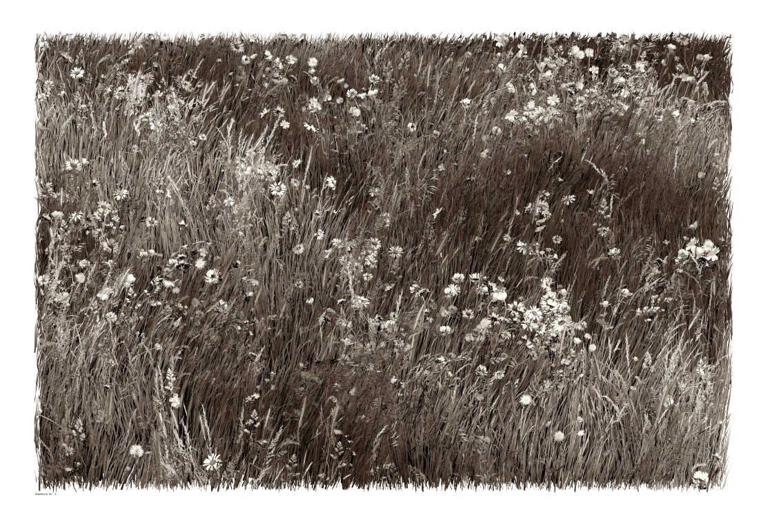 32e257c3f62c9e150aa6d215b031af0f.jpg